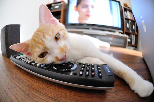 “意甲追赶赛火热展开,争夺欧战席位”,意甲比赛集锦