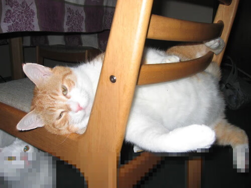 kaiyun登录入口-“青少年足球选材大会圆满结束，培养未来之星”，中国青少年足球选拔机制