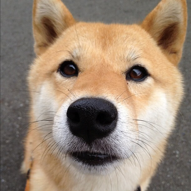 开云官方-中国篮球运动员的海外留学和训练新动态，中国外籍篮球运动员