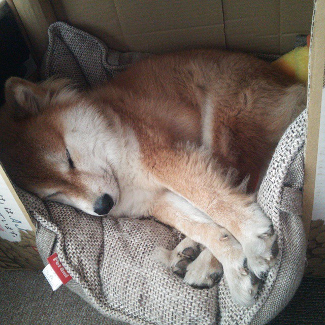 疯狂签约背后的战术布局:赚足眼球的背后真相,疯狂阅读签约作家