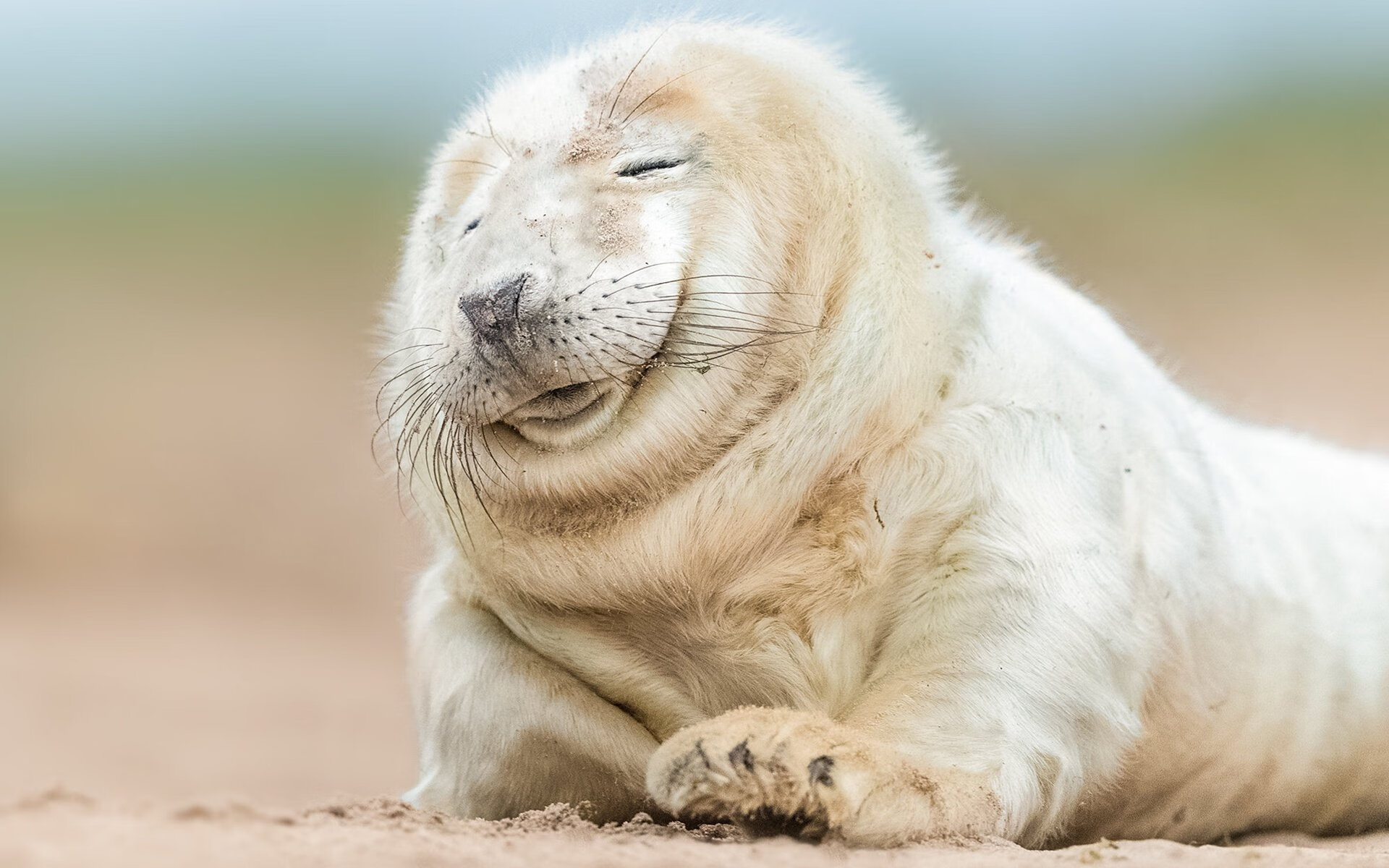 篮球运动员伤病预防与康复技术研究,篮球运动员疾病