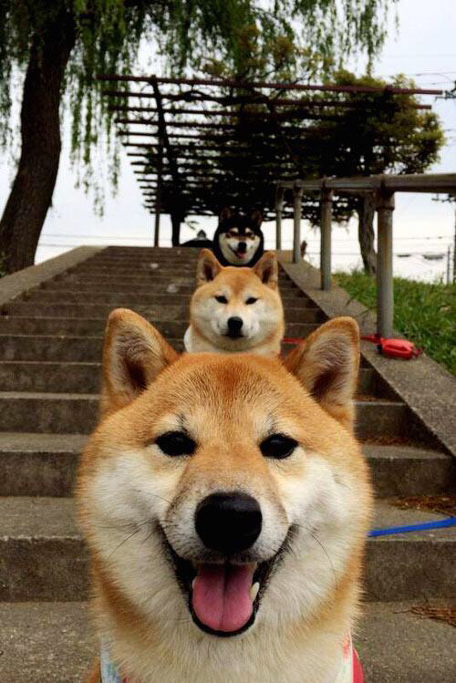 开云官网-逆风飞翔：那些用勇气逆袭的足球球队，足球史上经典逆转