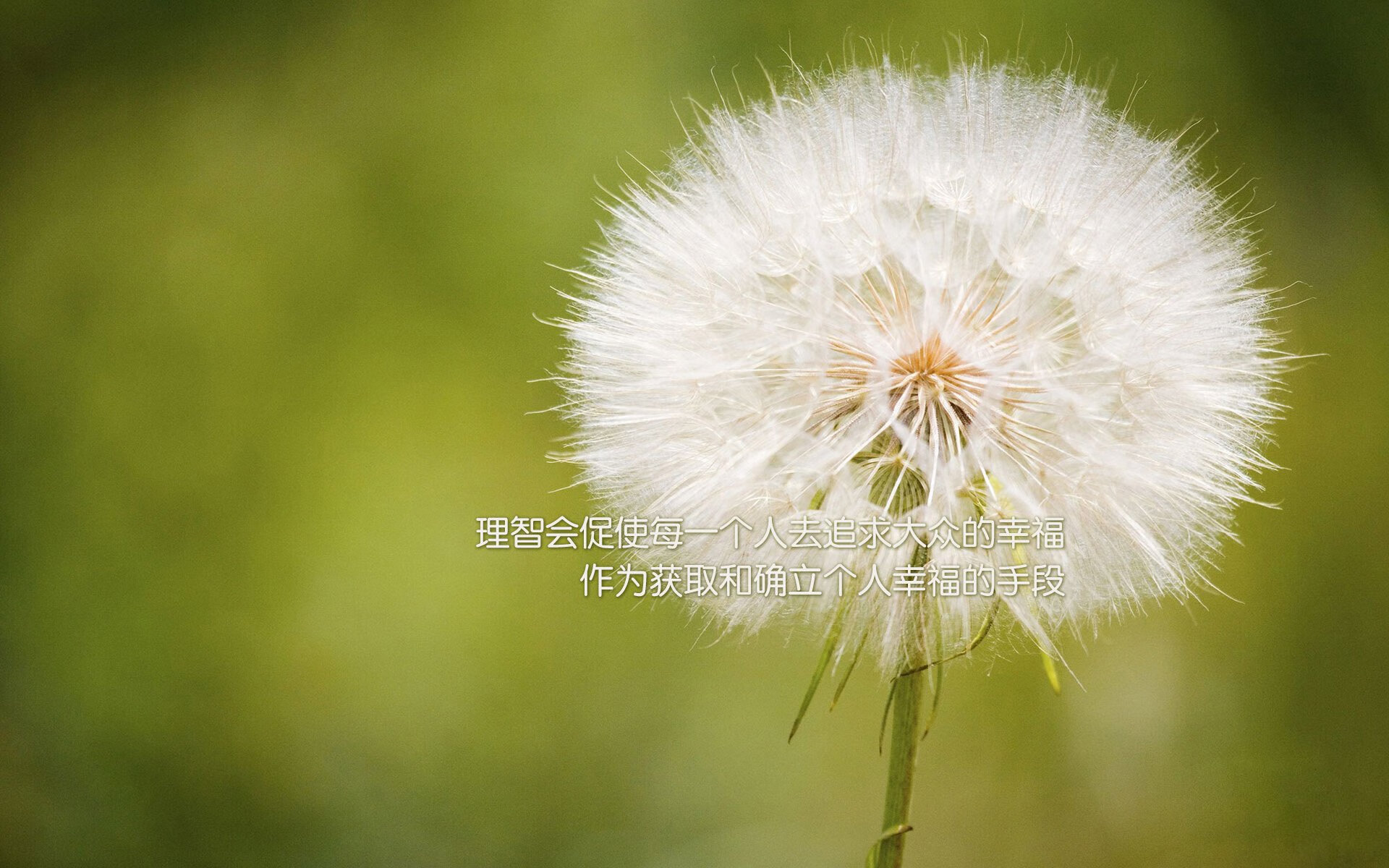 青少年篮球运动员心理调适项目深入基层,保障身心健康,篮球心里素质训练