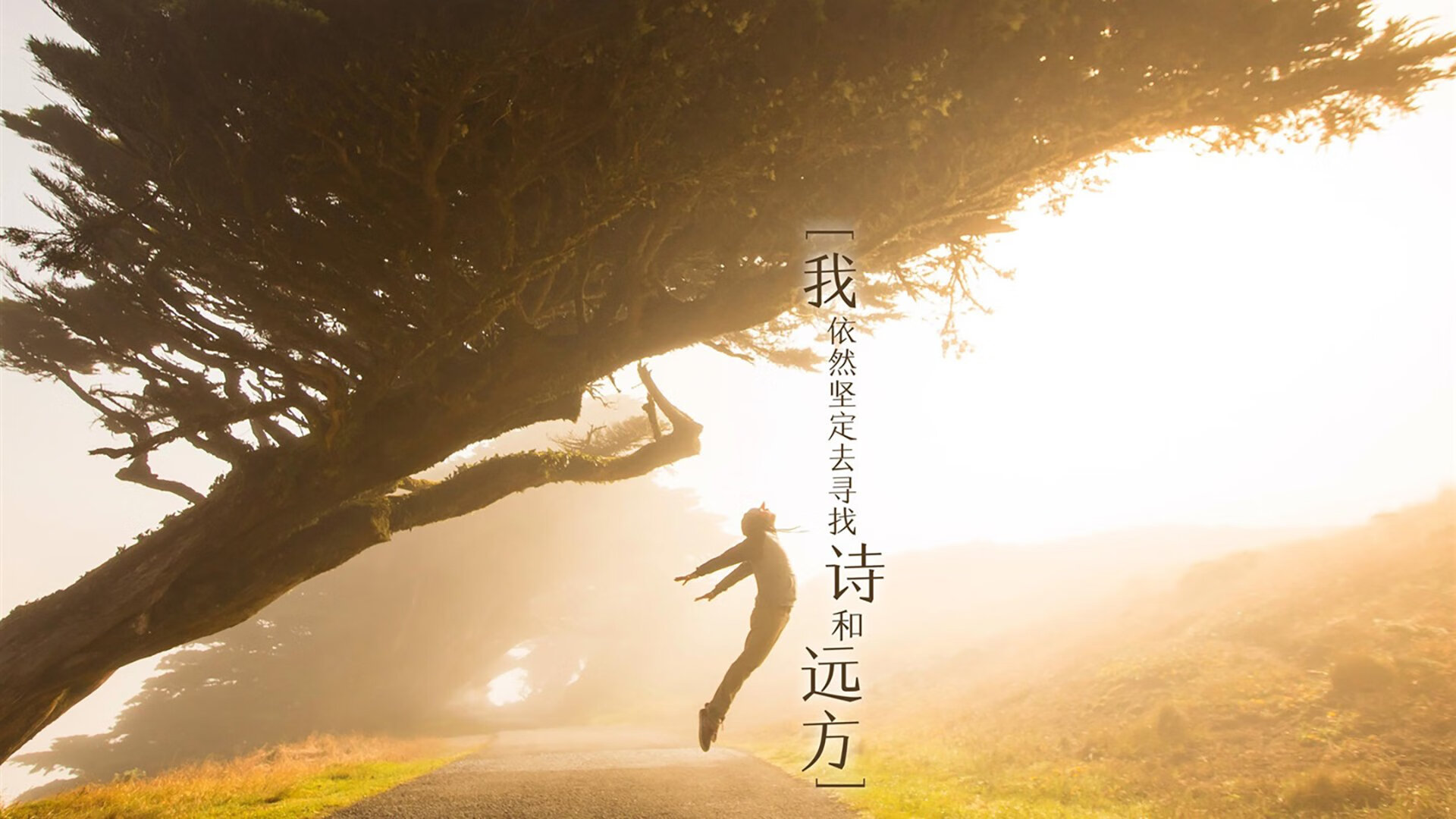 KAIYUN 中国大陆-四川金强球队比赛经验不断积累，四川金强球迷协会微博