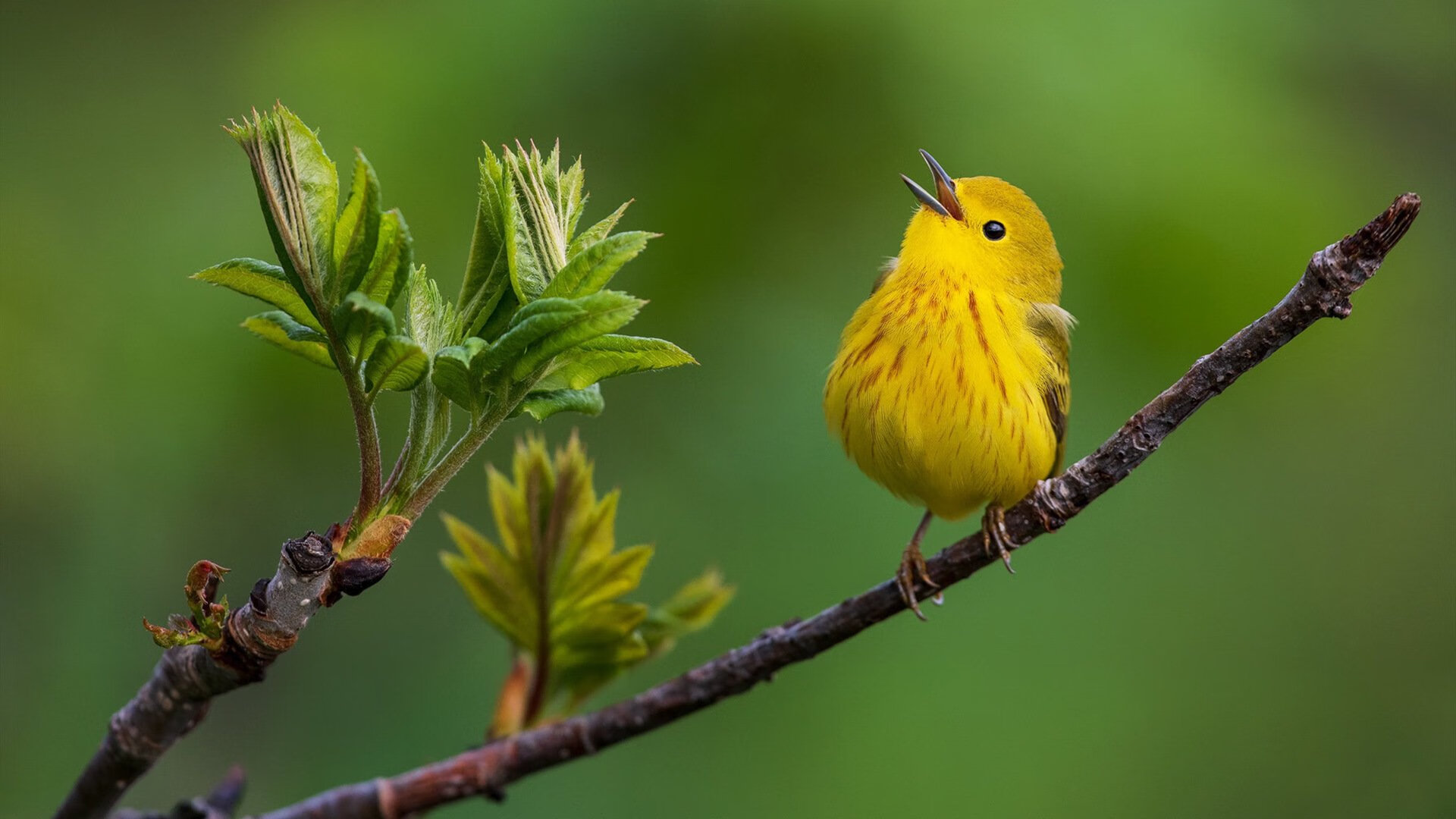 多特蒙德再度失利，积分榜上节节退后，多特蒙德赢了吗