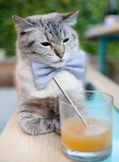 欧洲顶级篮球联赛战火再起,谁能问鼎冠军?,欧洲顶级篮球联赛战火再起,谁能问鼎冠军呢