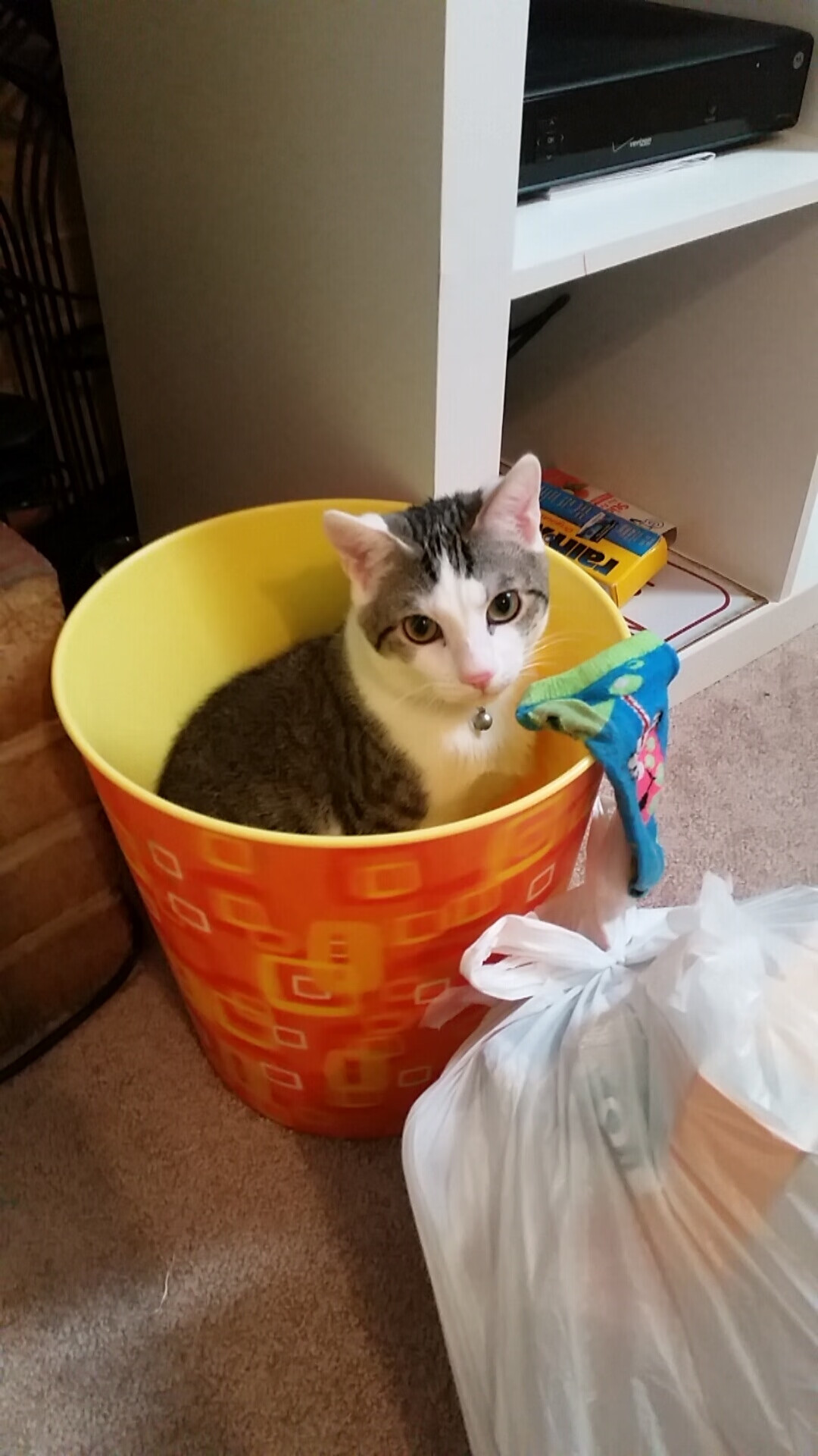 开云kaiyun-法国足球联赛赛程安排，球迷翘首期盼，法国队足球比赛直播