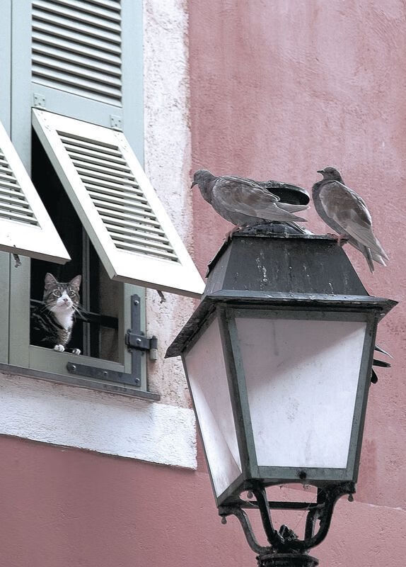 电竞城市引领电竞产业全球化发展,浅析电竞产业发展