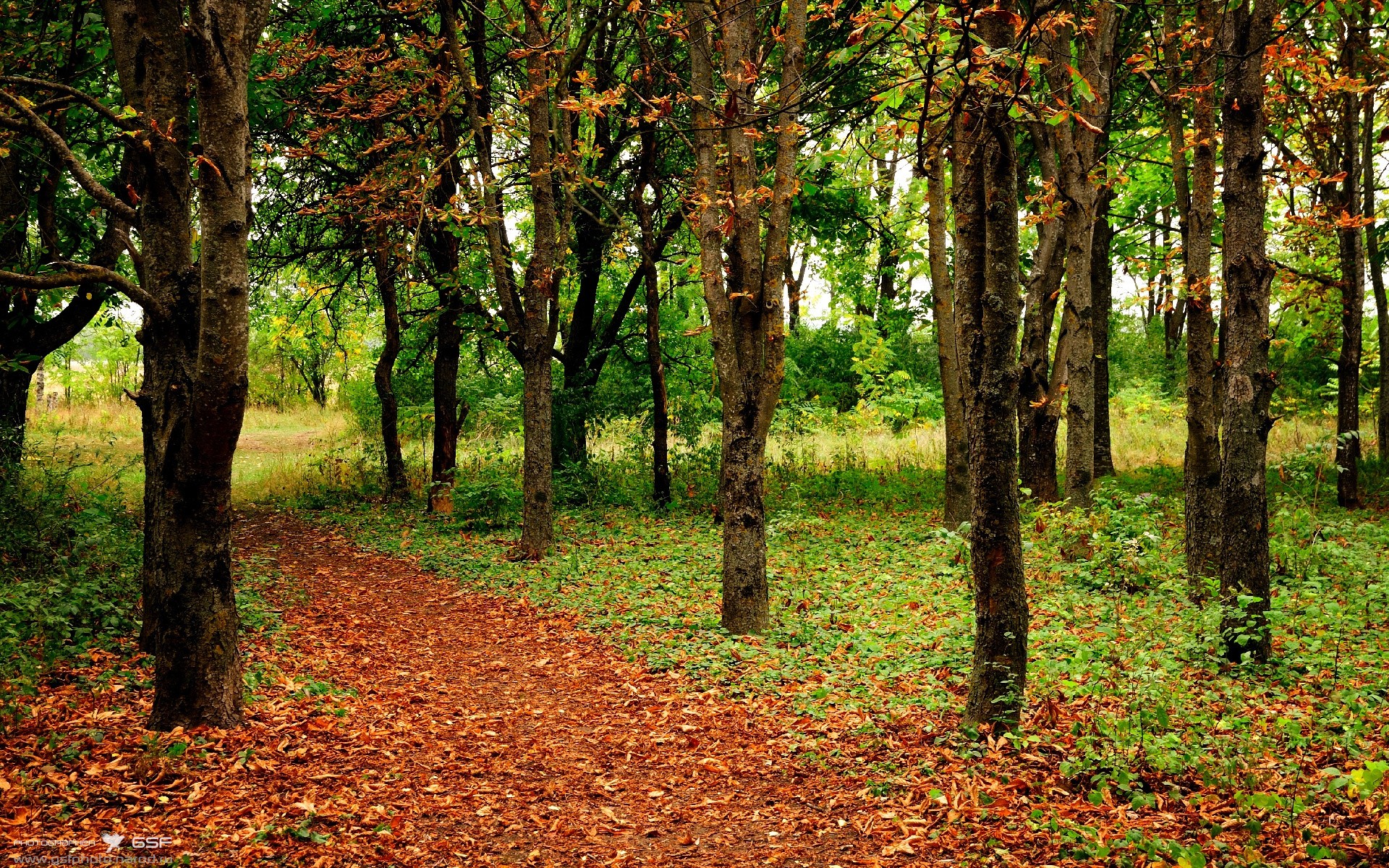 中国篮球青少年篮球推广活动效果评估及优化建议,青少年篮球培训地推方案