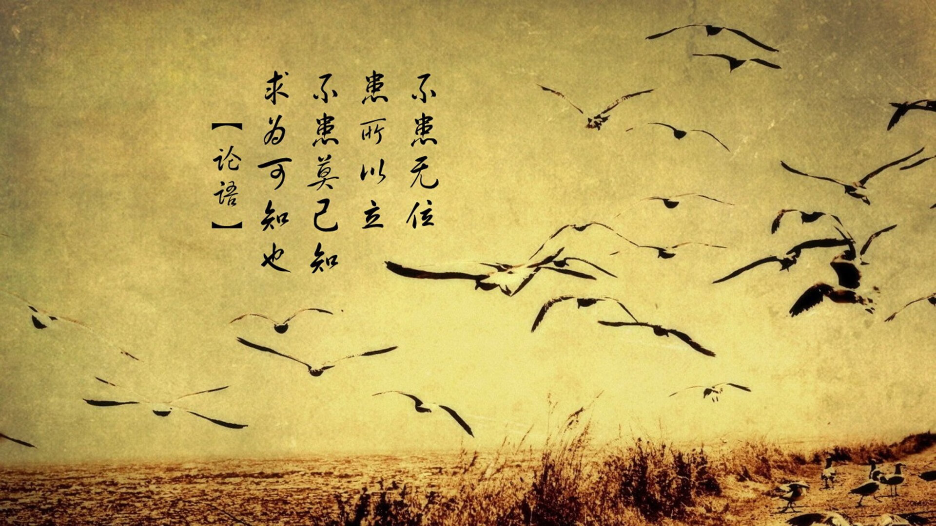 kaiyun官方入口登录-中国男篮备战世界杯状态良好，中国男篮备战世界杯状态良好的原因