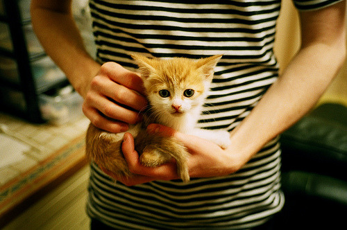 开云入口-中小学体育校队管理制度逐步完善，小学体育校队训练方案