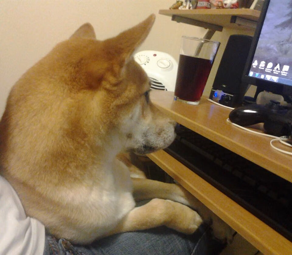 kaiyun体育综合-教练组战术调度助力战绩提升，教练组战术调度助力战绩提升怎么写