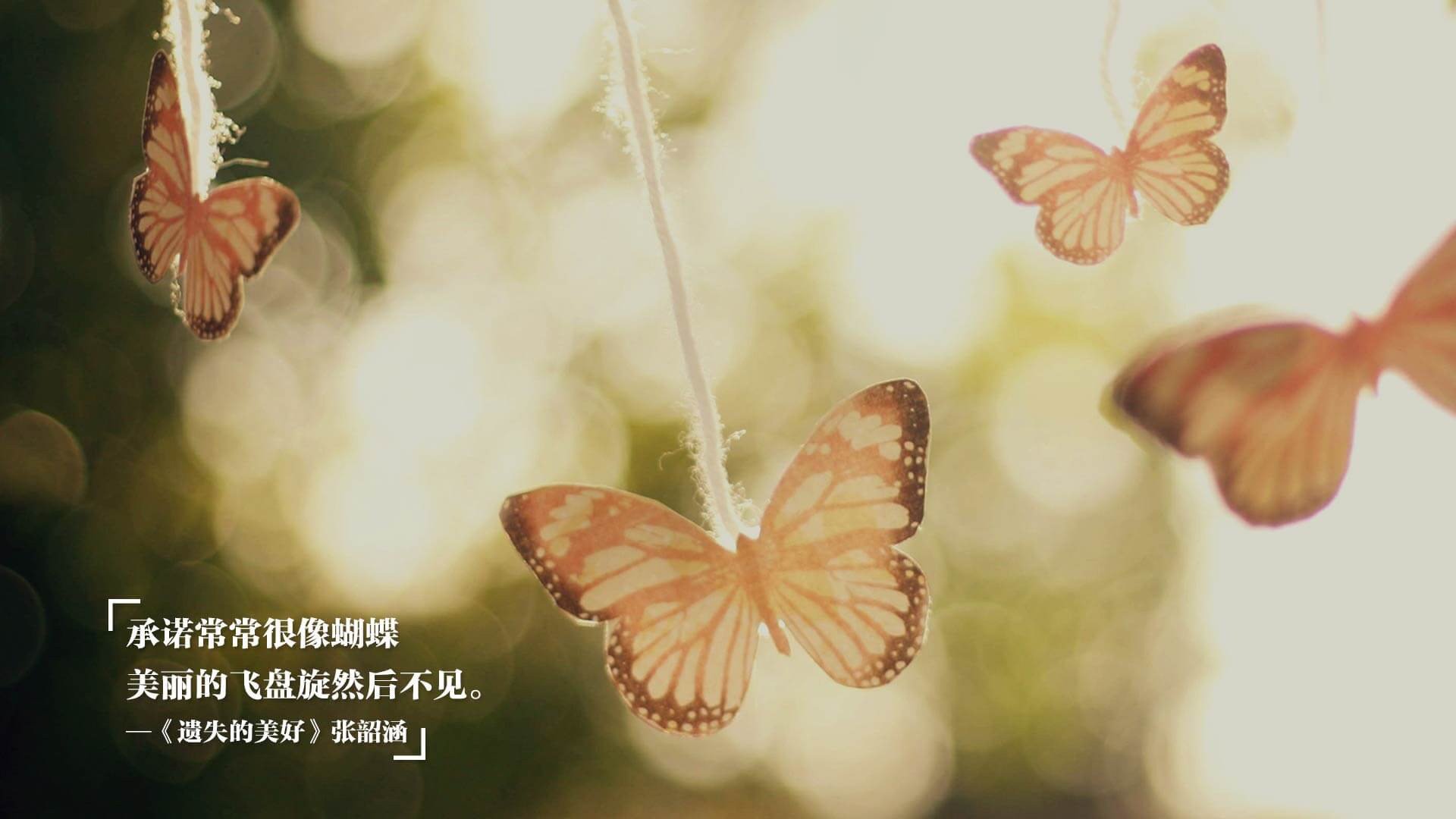 kaiyun中国官方网站-南非羚羊队的团队协作：进攻与防守配合默契，为胜利奠定基础，南非羚羊皮皮衣特点