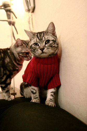 比赛结束后球员自发感谢远征球迷现场气氛感人至深,比赛后的致谢语