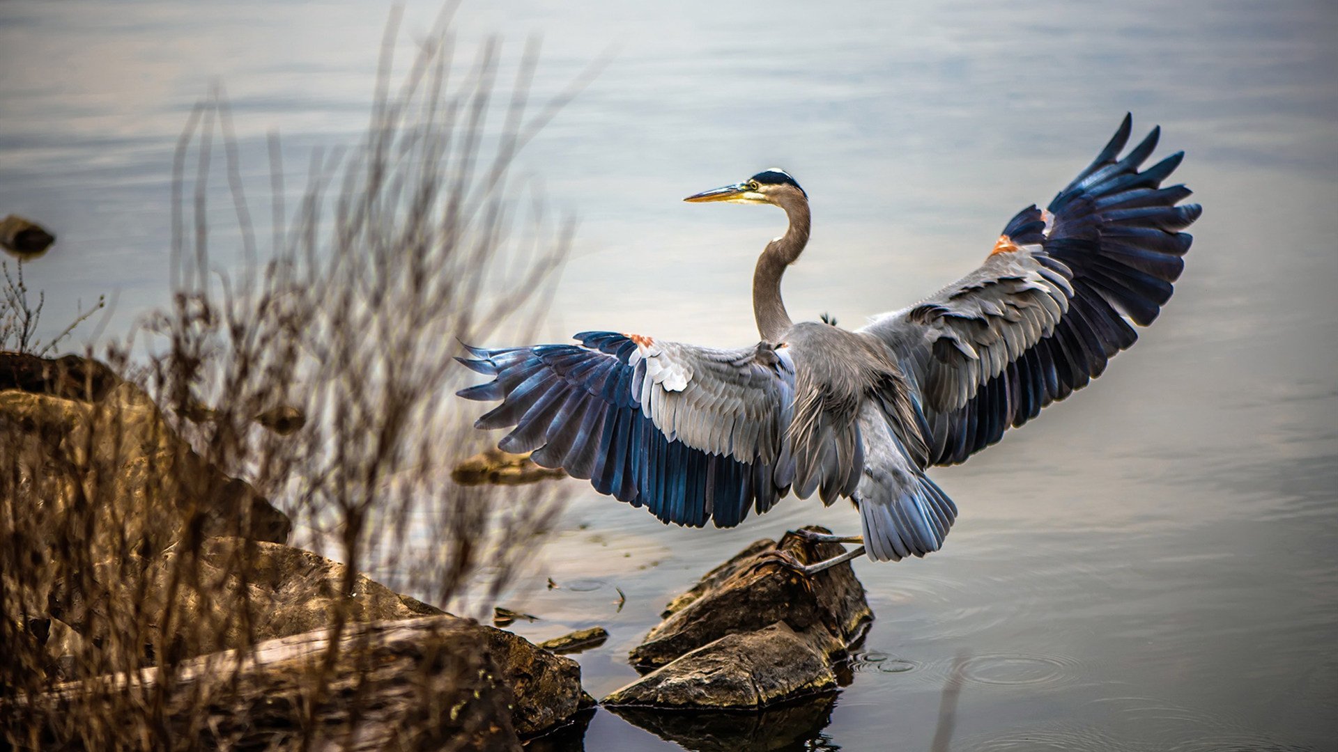 kaiyun体育app-欧洲杯终极宿命对决：战术布局与现场表现完美结合，欧洲杯12日终极对决